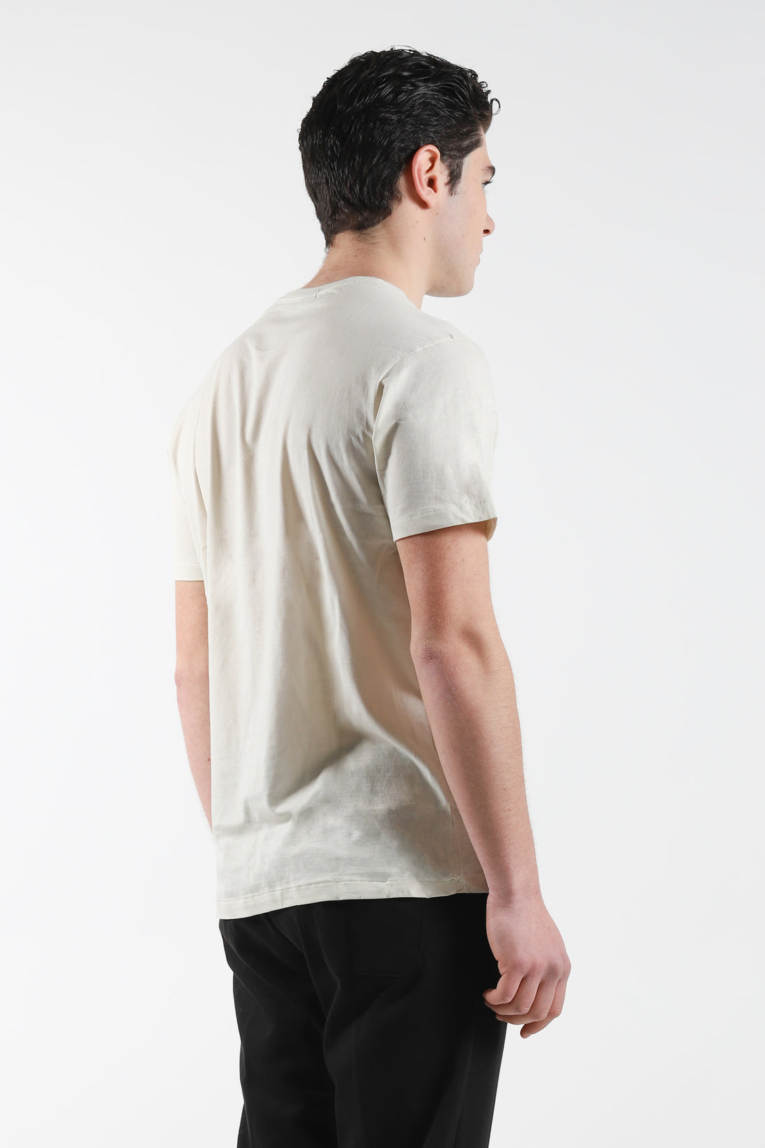 T-Shirt giro collo con stampa colore su colore - Beige